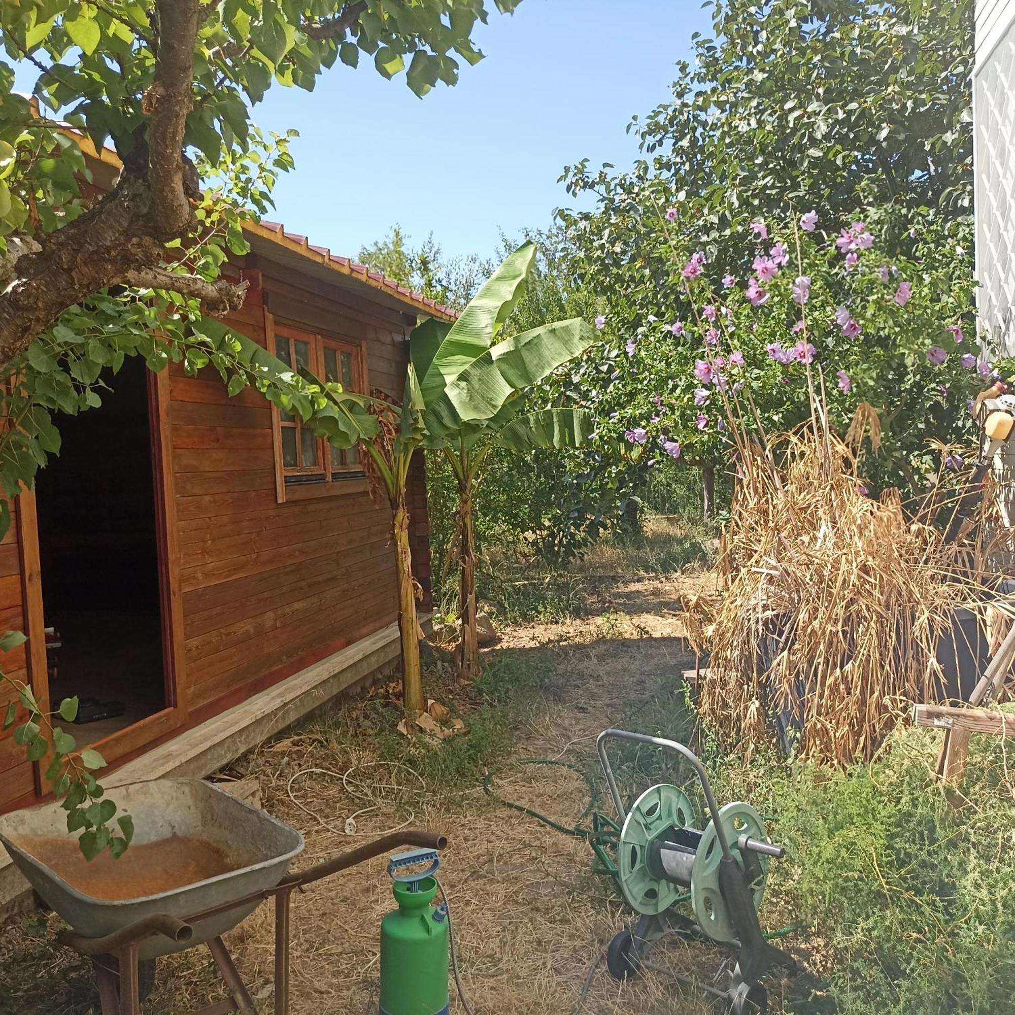 Ripe'S Forest Garden Guest House Roma Exterior foto